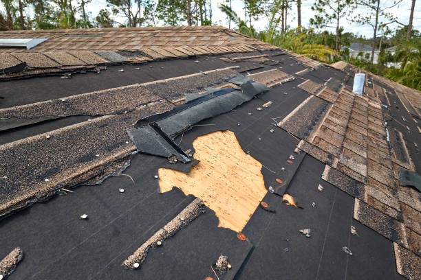 Comprehensive Roofing Services by Experienced Contractors