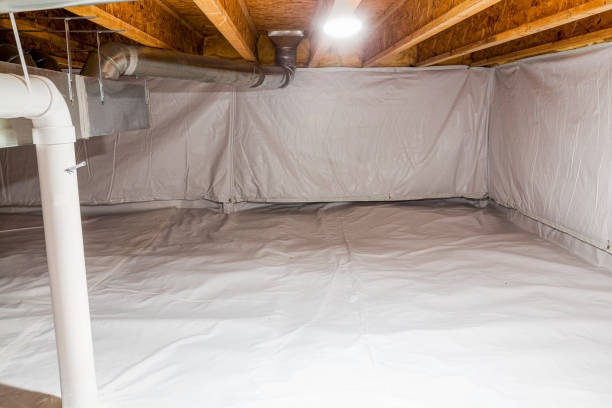 Modern Crawlspace Encapsulation Woodstock That Stops Moisture Issues