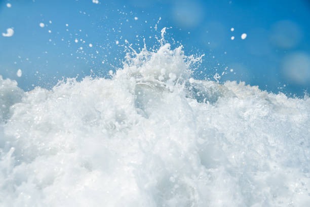 Top Surf Resources for Beginners and Advanced Surfers