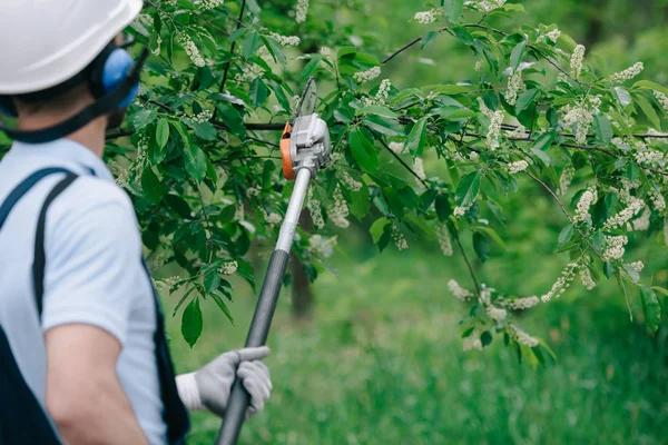 Best Tree Removal Services Near Me Safe, Clean, and Professional Work