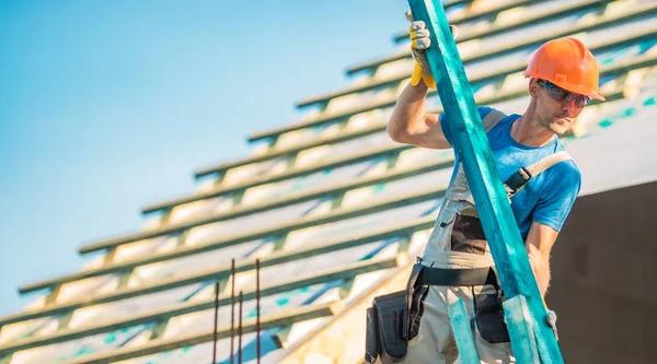 Skilled Roofer Albany Professionals for Complete Roof Restoration