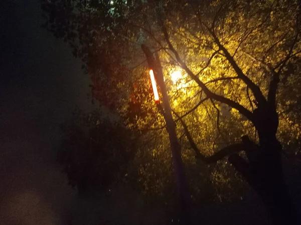Understanding the Importance of a Transformer Blast Wall in HighRisk Environments
