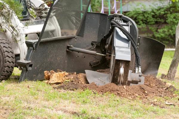 Tree Removal Service Mobile for Safe Property Maintenance