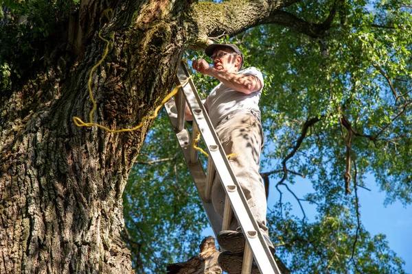 Dependable Tree Service for Storm Damaged Trees