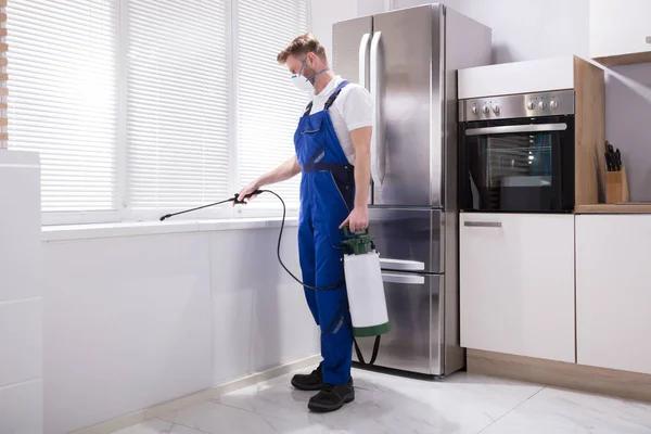 Affordable Lawn Care Services Designed for Every Property